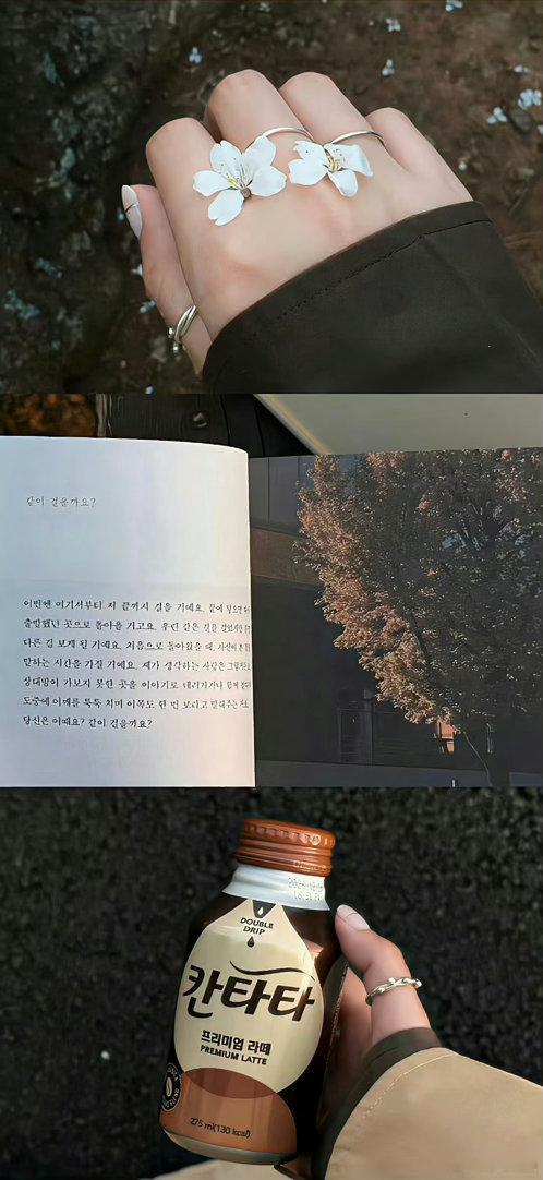 那些相爱却分离的人可以在痛苦中生活，但那并非绝望：他们知道爱存在。——阿尔贝·加