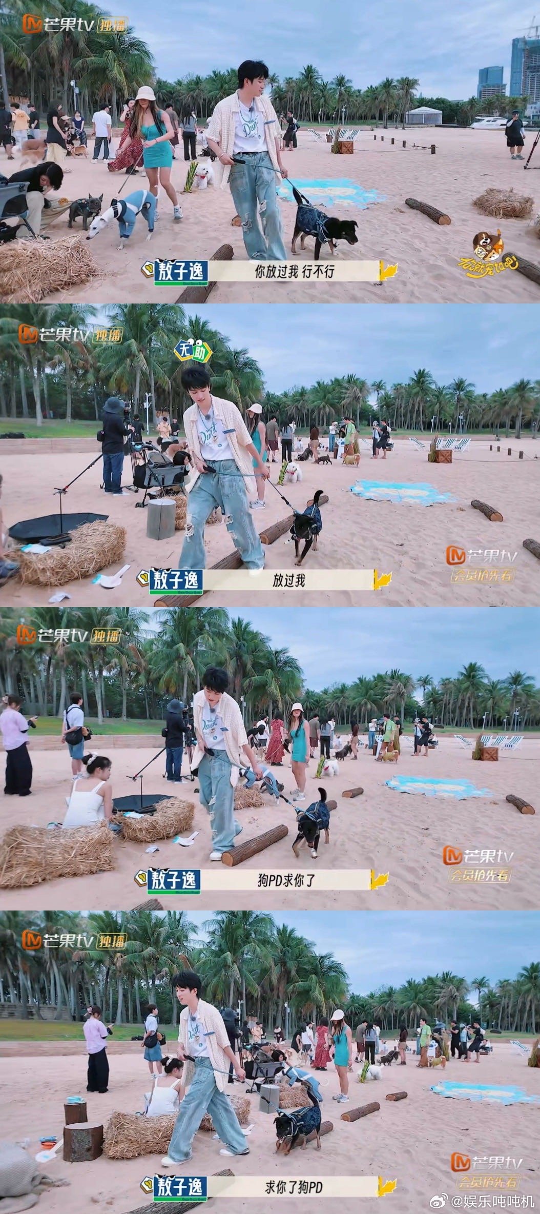 敖子逸没人告诉我遛小狗这么累"遛狗五分钟，追狗两小时"——敖子逸用亲身经历告诉你