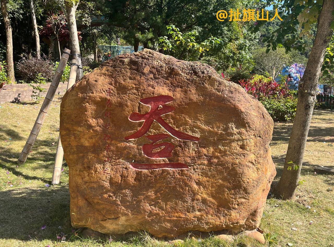 请猜猜石头上这个字[捂脸]
2025年11月，我用手机摄影的作品[作揖]