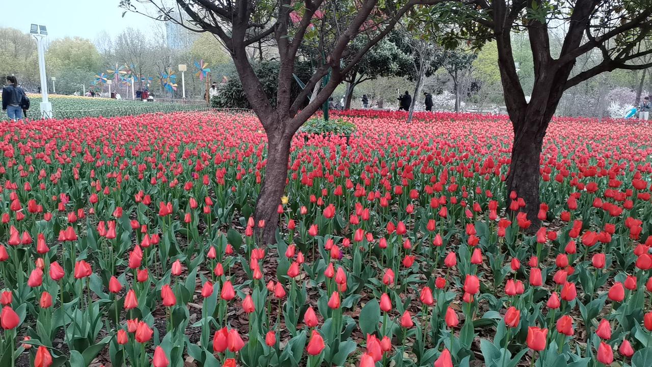 一觉醒来，又有巨头暴雷！
1、昨夜美股调整，纳指跌了0.89%，标普跌0.41%