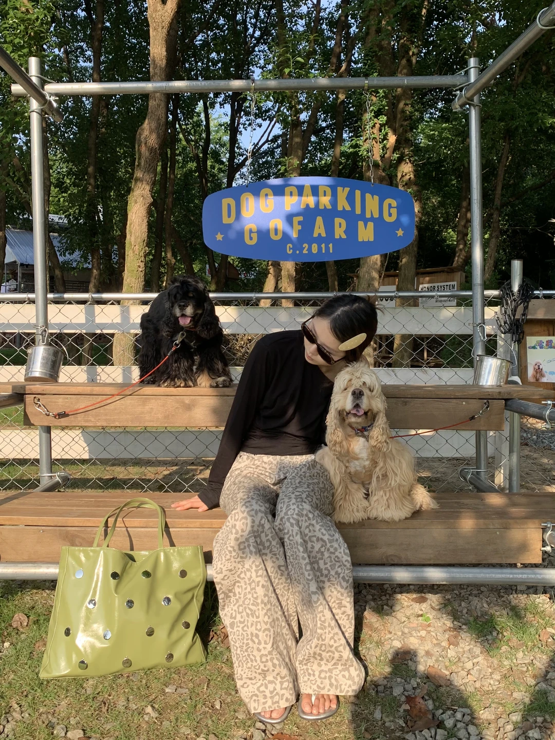 Puppy day 🐕‍🦺🦮