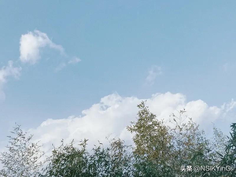 风轻云淡的日子，适合想念，也适合忘记。