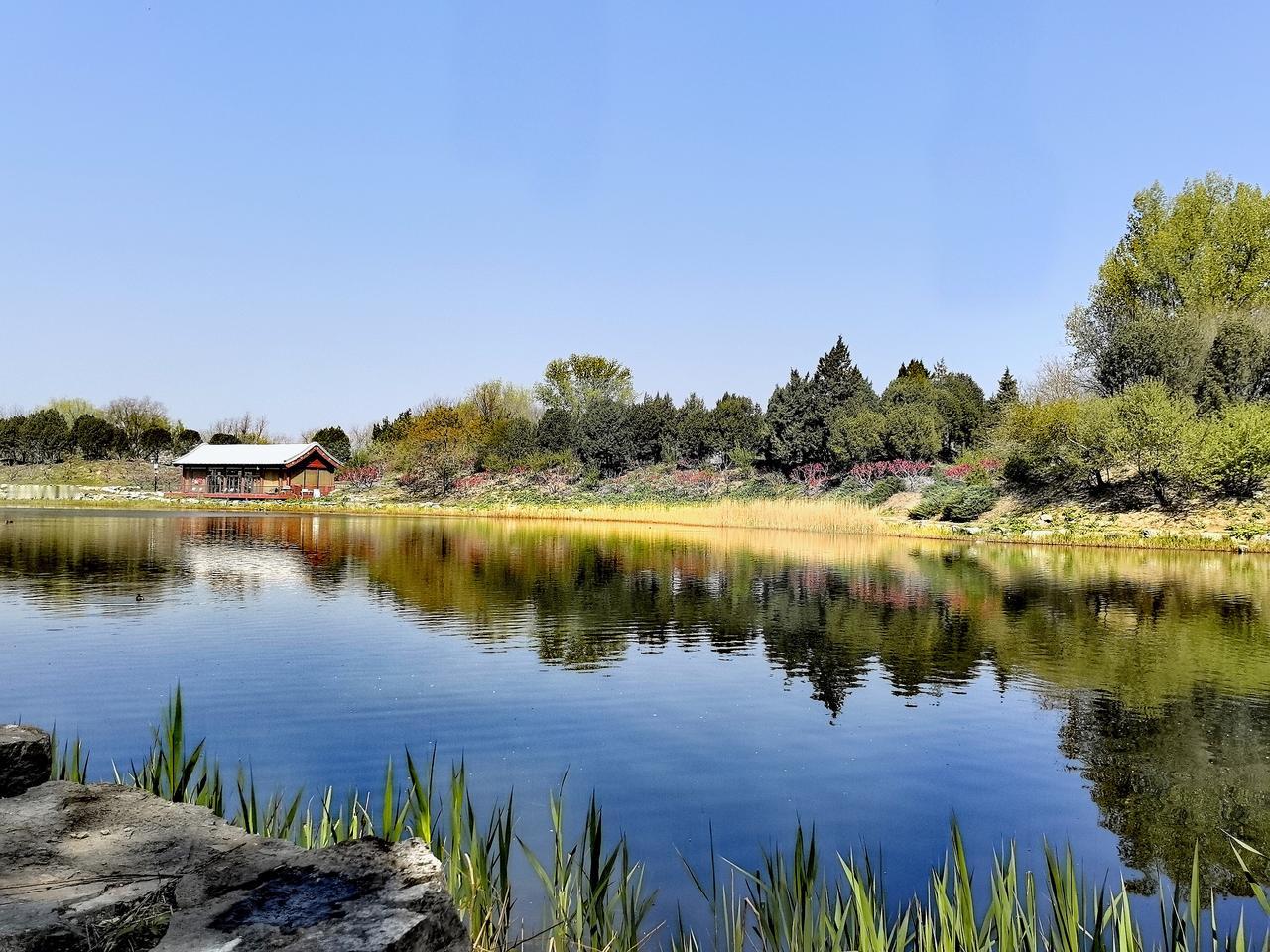 春光明媚圆明园