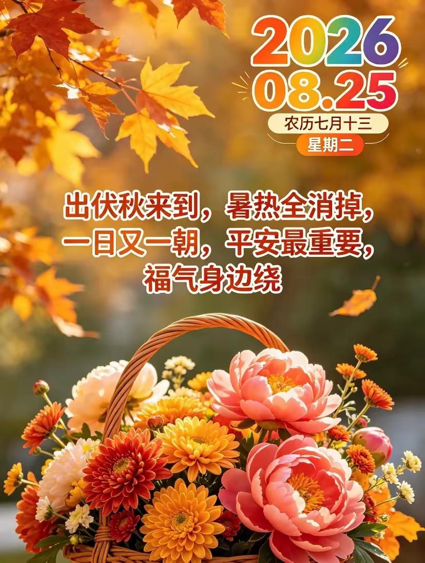 周二清晨，一句早安，是藏在晨光里的温柔☀️
 
不必华丽辞藻，简简单单的祝愿，就