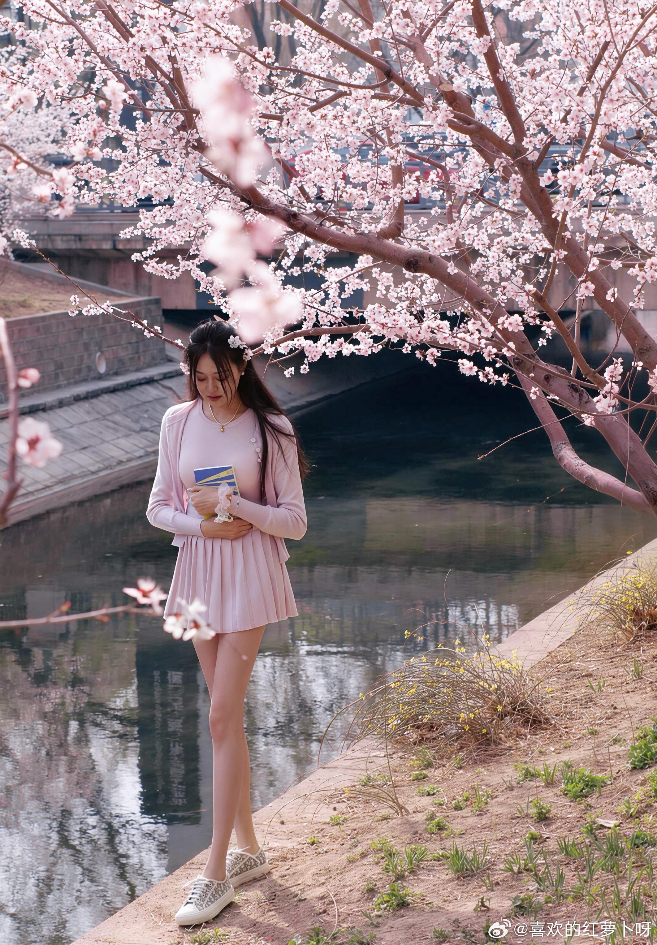 樱花盛开的季节🌸 