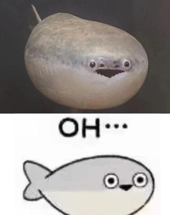 这于居然是真实存在的！
好怪再看一眼