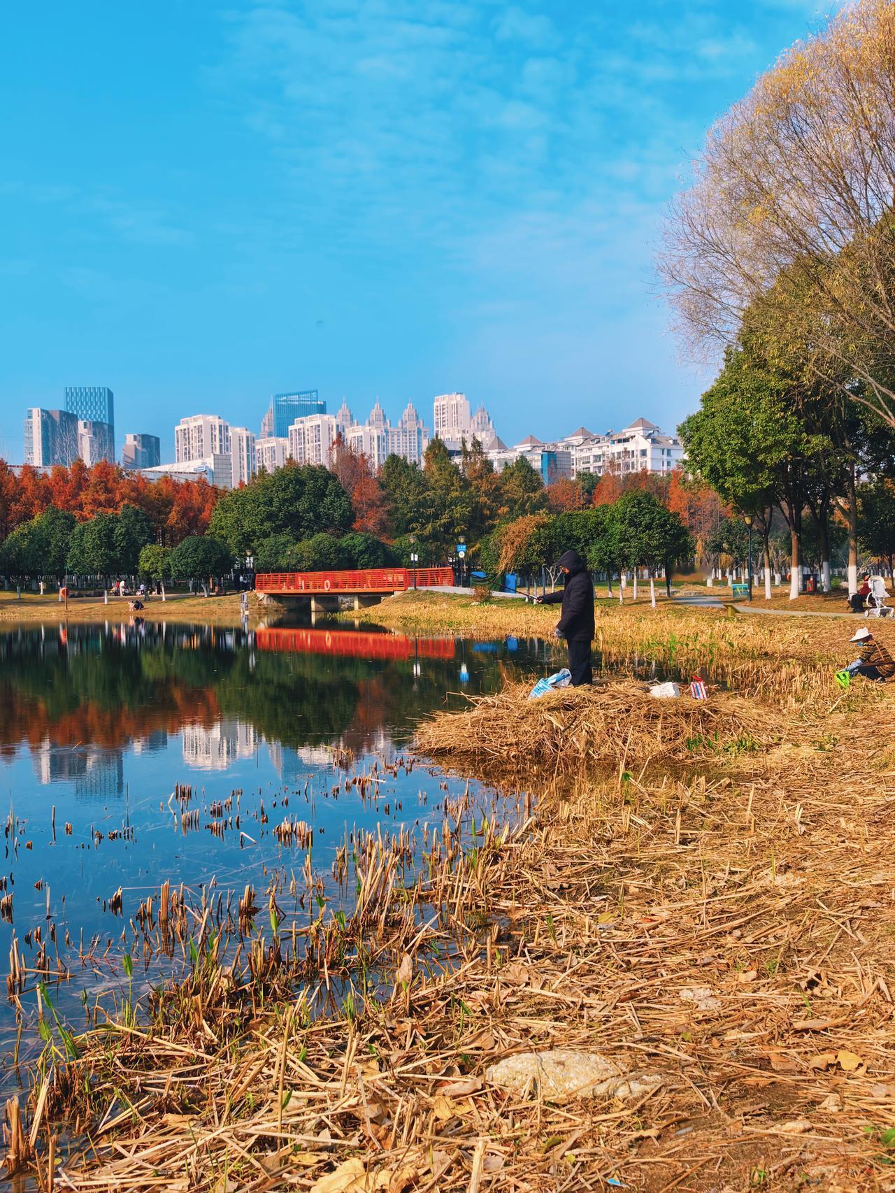 曾经在外网看到各国评论自己国家的公园，吐槽自己国家的公园，唯有中国的公园最亲民，