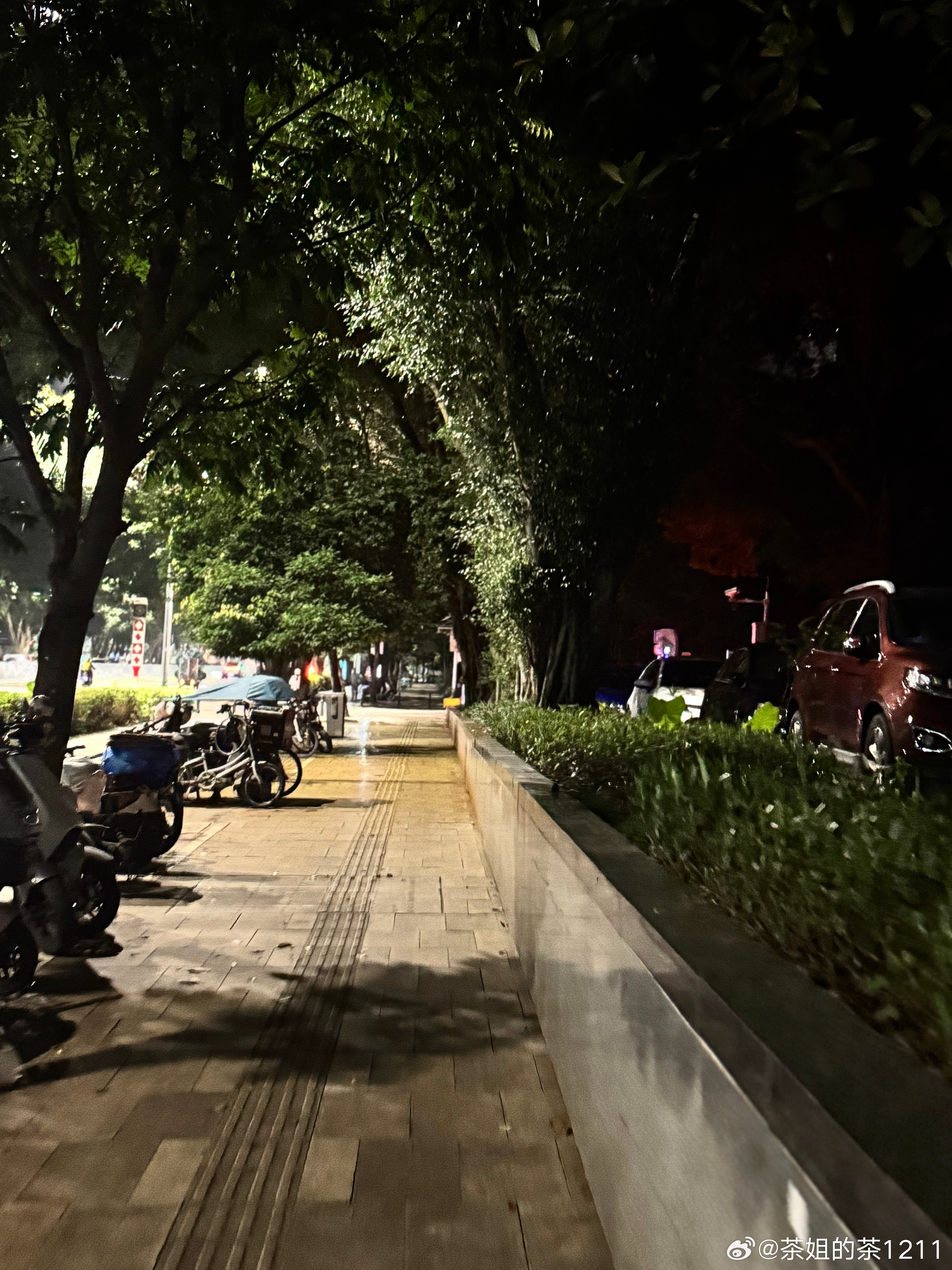 一家三口喝得晕乎乎的，走路回家！边走边感叹啊，真的会填志愿、把志愿填好太重要了，