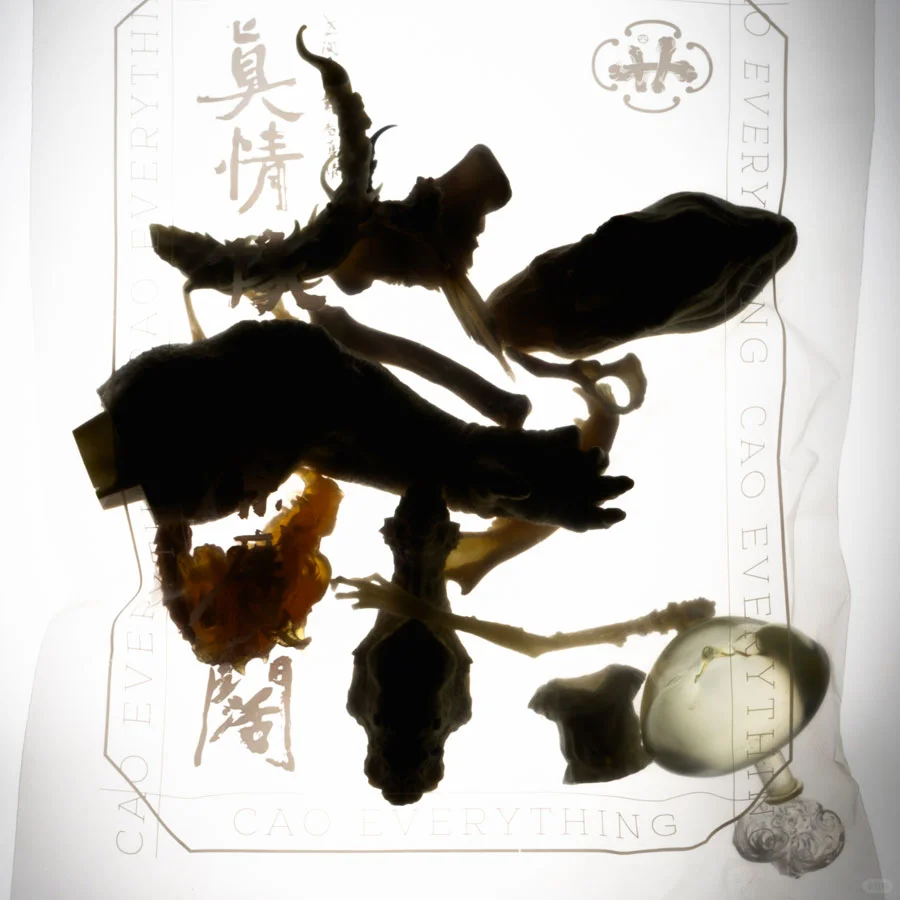 上海WF展位N2-B32人气冲冲冲抽选活动开启！