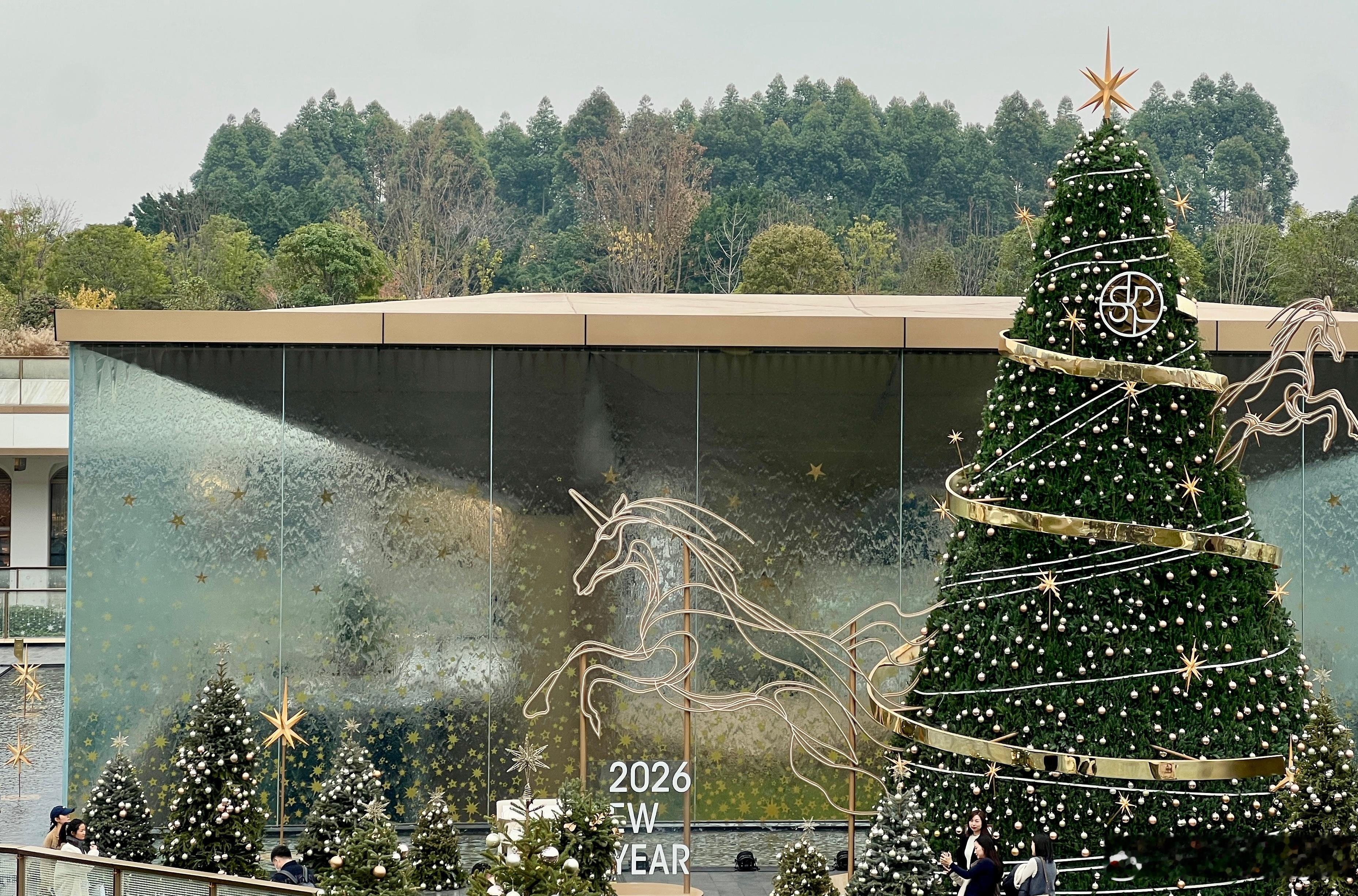 Feliz Natal ！🎄🥳漂亮的聖誕樹和聖誕樹配色的下午茶 