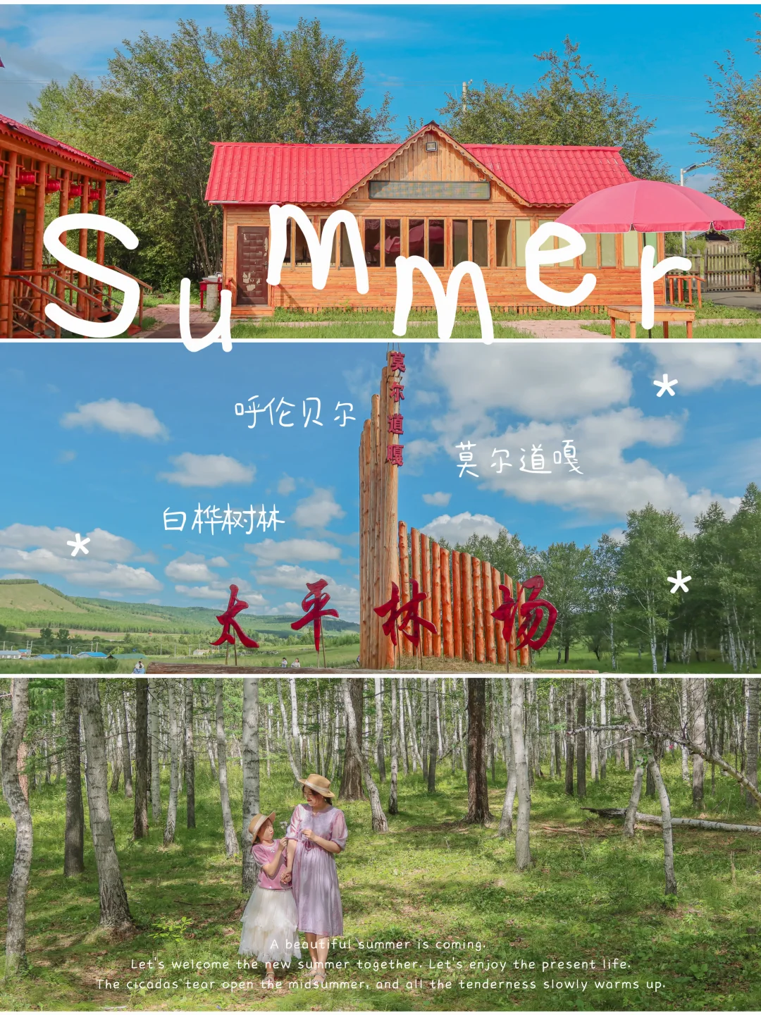 莫尔道嘎✨我的旅行白月光森林