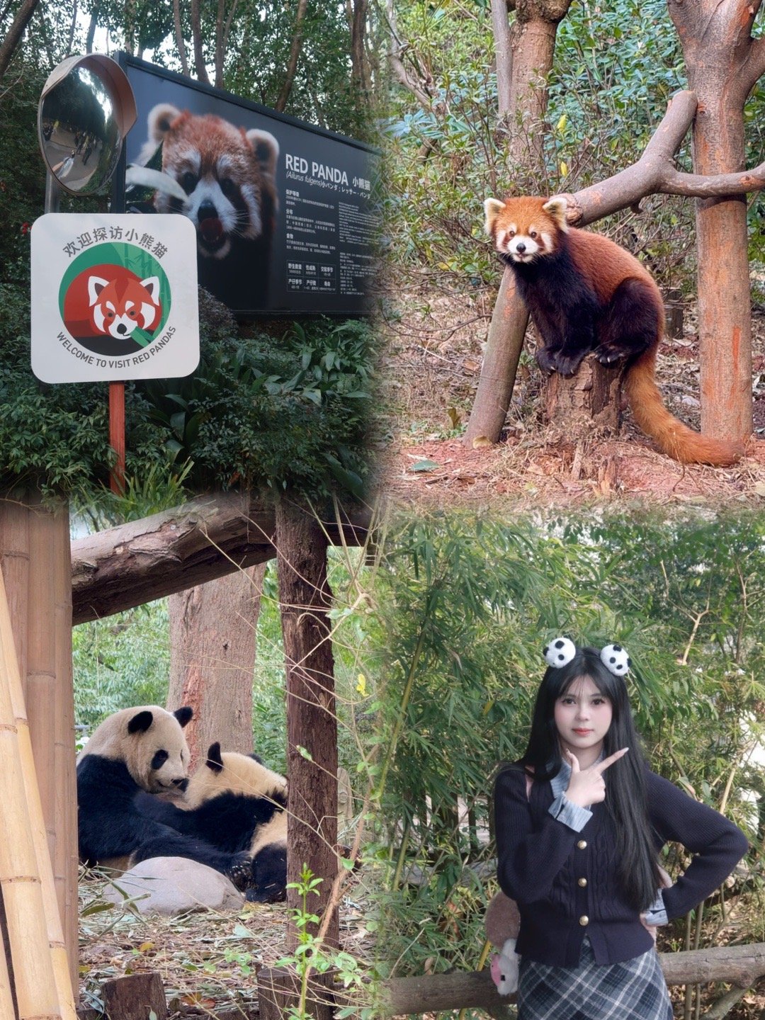 ⊹ 🐾" ◌◞ 🐼 𓂂𓏸 