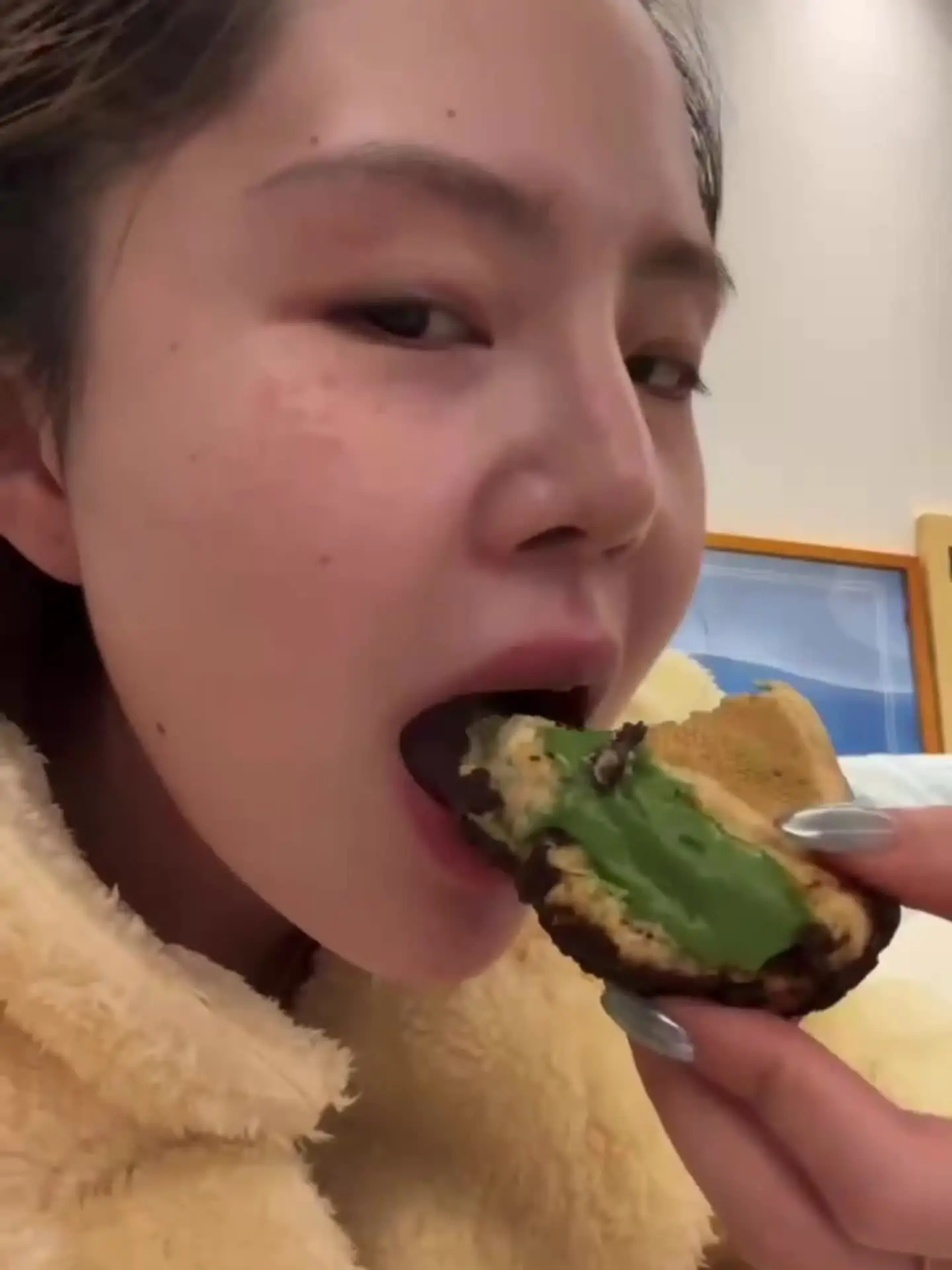 羞答答的玫瑰我现在必须就要开