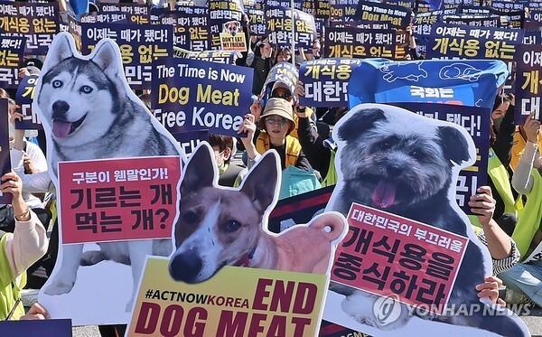 2027年韩国将全面禁食狗肉韩国于2024年1月通过立法禁止食用狗肉，并于202