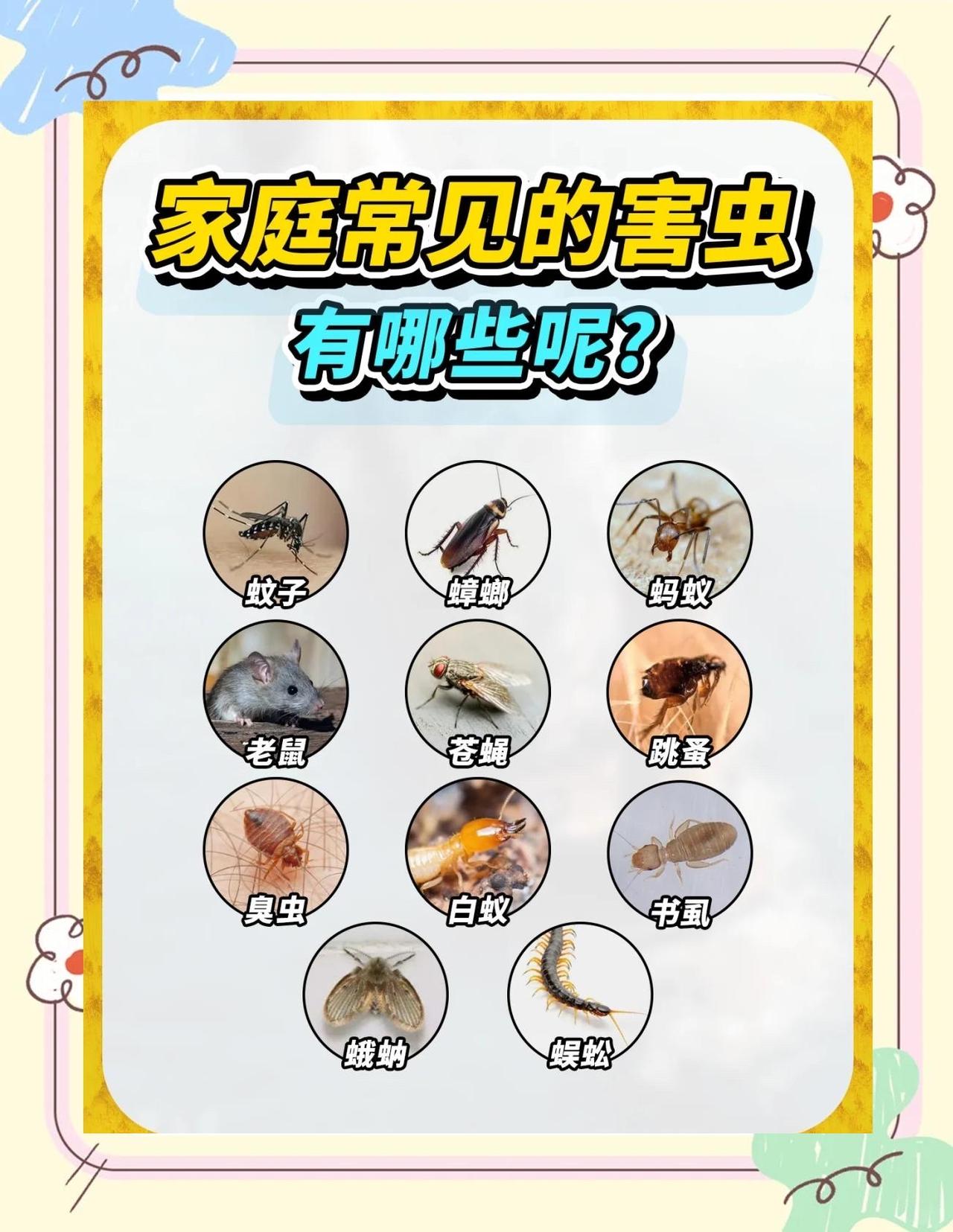 这种虫子看到一只，家里可能有无数只！别大意，你忽略的死角早已泛滥

有没有过这样