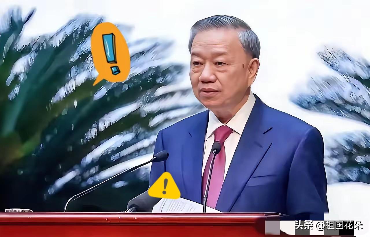 越南传来新消息！

2026年3月19日，越南正式向阿尔及利亚求助，希望确保石油