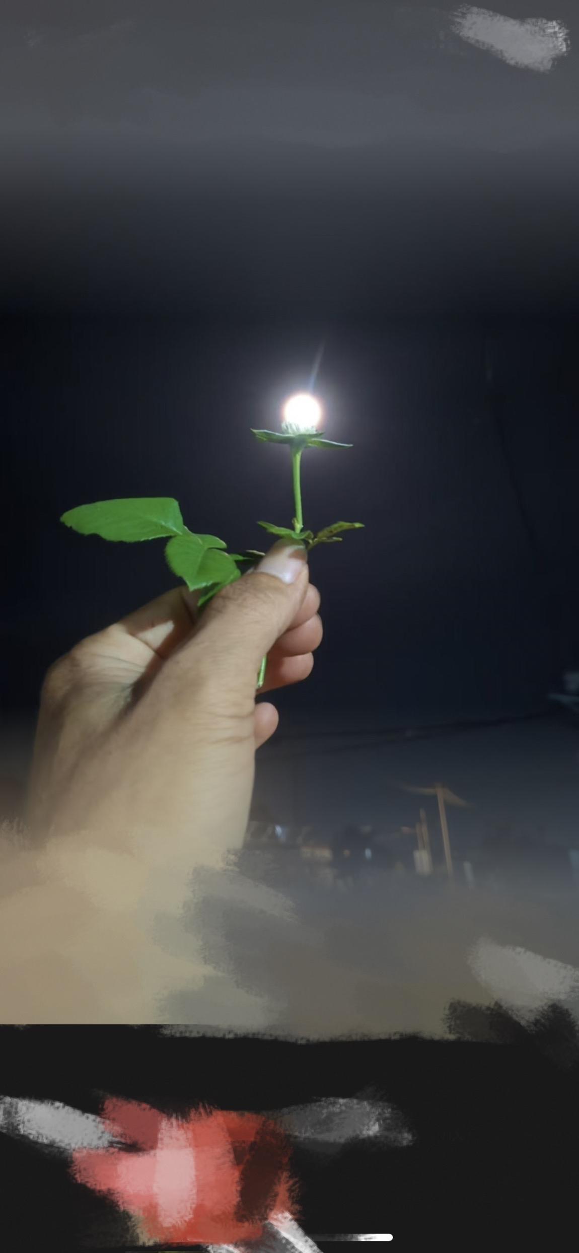 分享一张你们随手拍下的夕阳