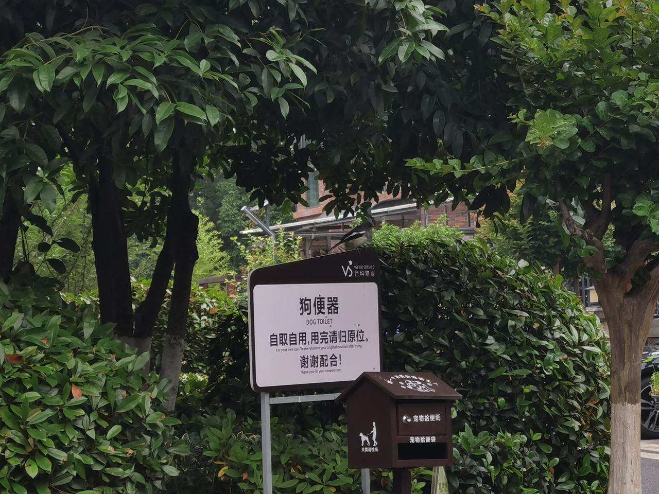 2岁的小孩太难搞了，
动不动趴在地上嗷嗷叫，
动不动一个玩具砸过来，
动不动把饭
