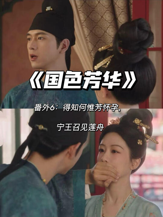 国色芳华番外:得知何惟芳怀孕，宁王召见莲舟
