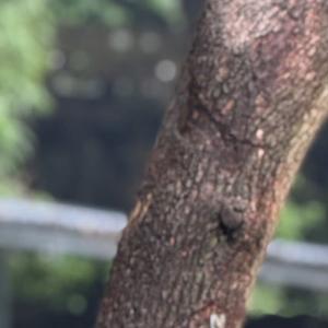 愿我们多喜乐，长安宁，岁无忧。 