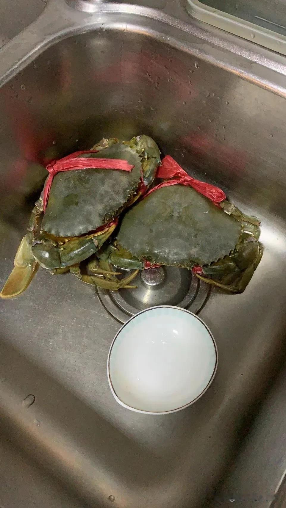 早上出门的时候，姑妈送了两只大螃蟹来，没时间收拾只能把他俩放在洗碗盆里，不放心还