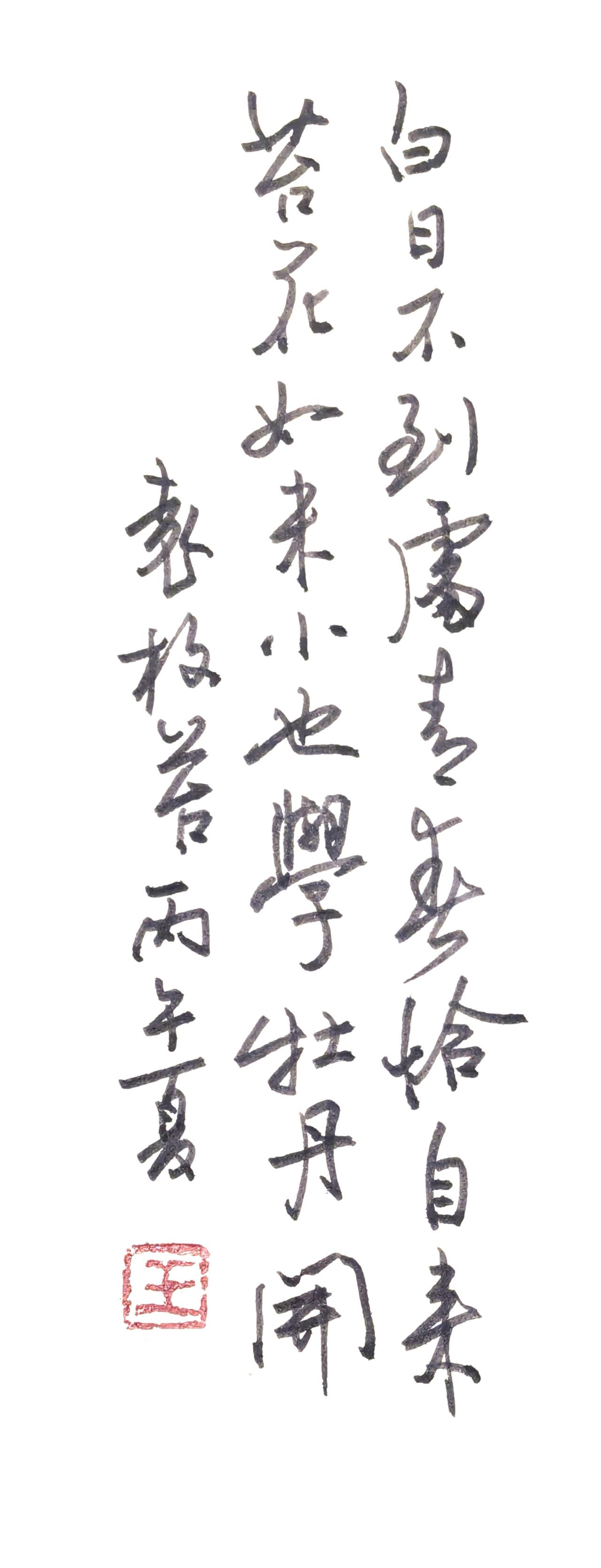 书法作品完整解读
一、释文辨认
正文（清代袁枚《苔》）
白日不到处，青春恰自来。