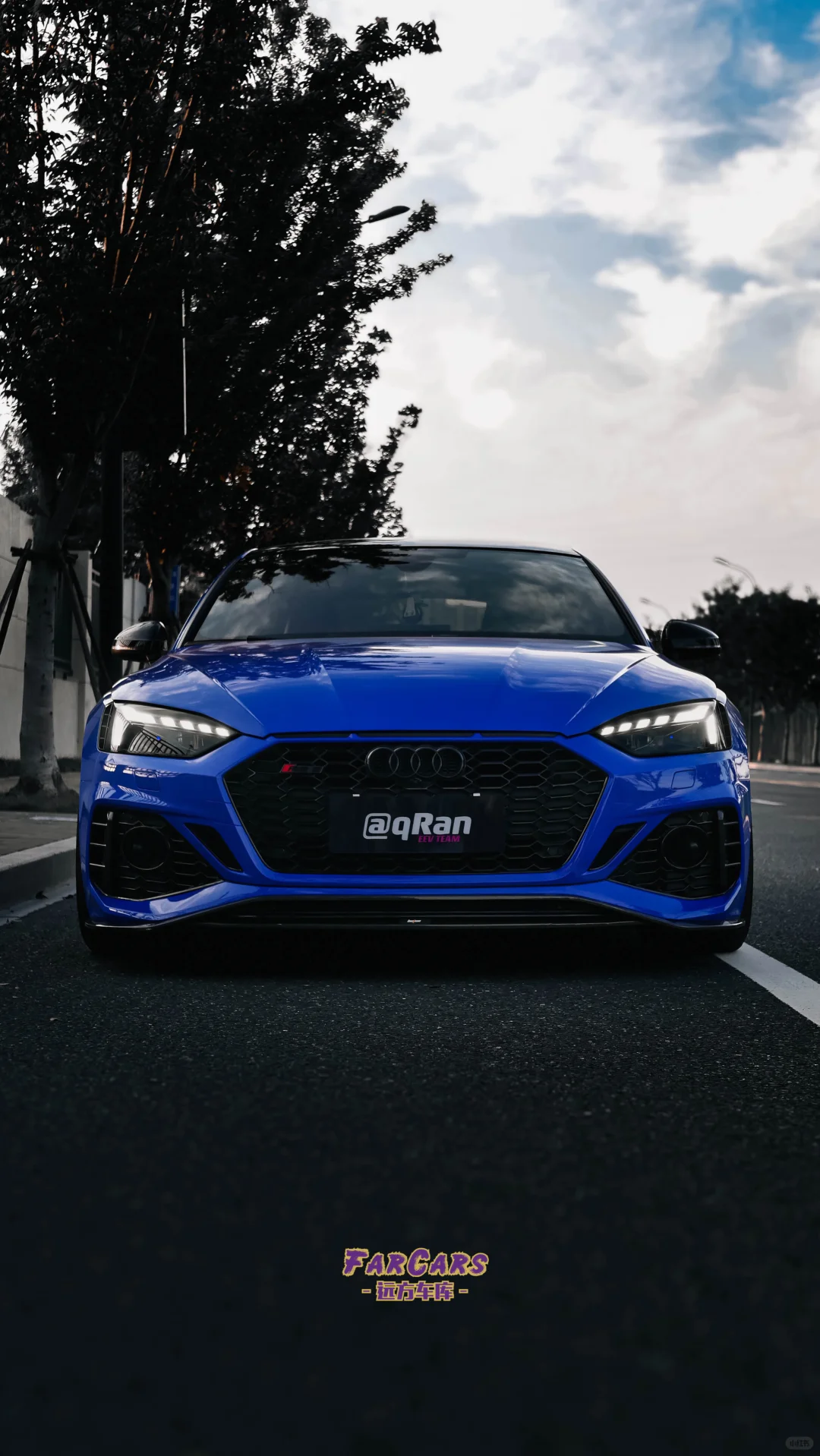 Audi RS5 改色案例
