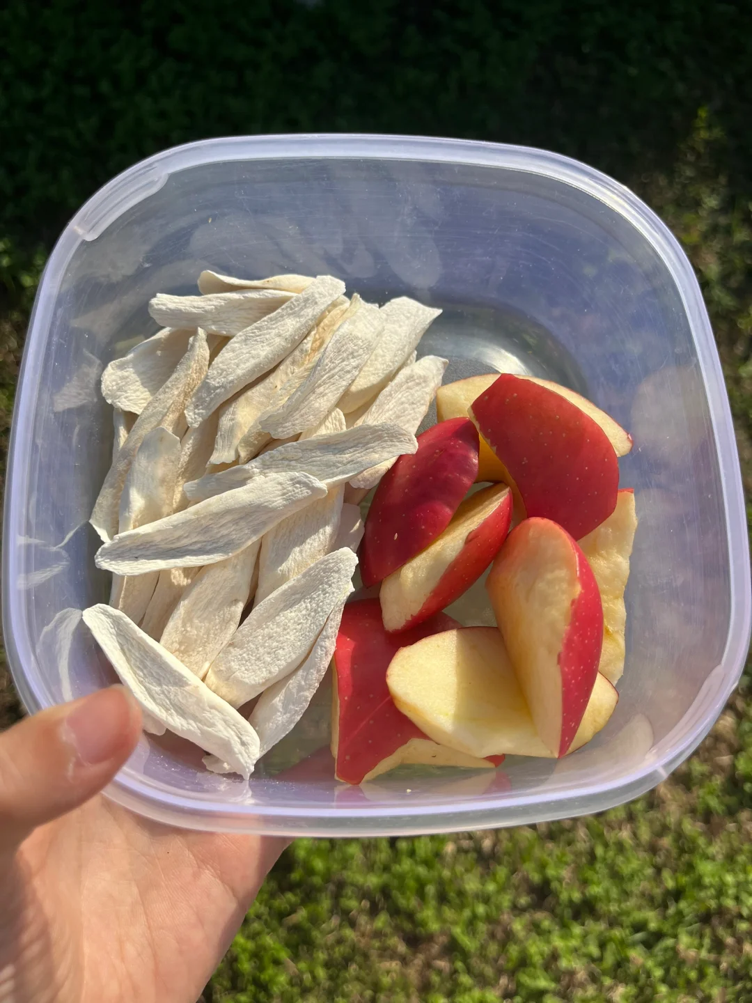 苹果山药煮水，连喝两周，真的有用！！