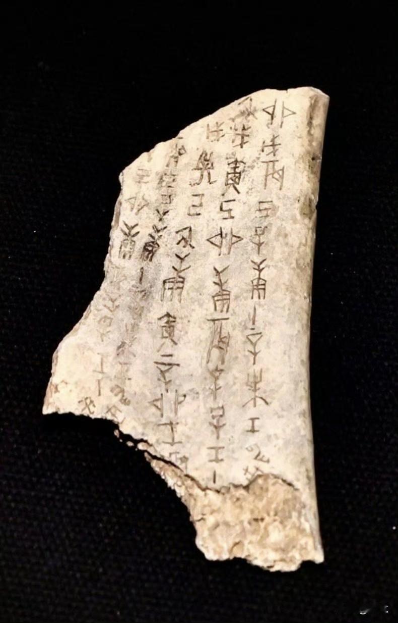 刘鹗自己在《铁云藏龟》的自序里说，他收藏的甲骨有五千多片，这时是1903年，“铁