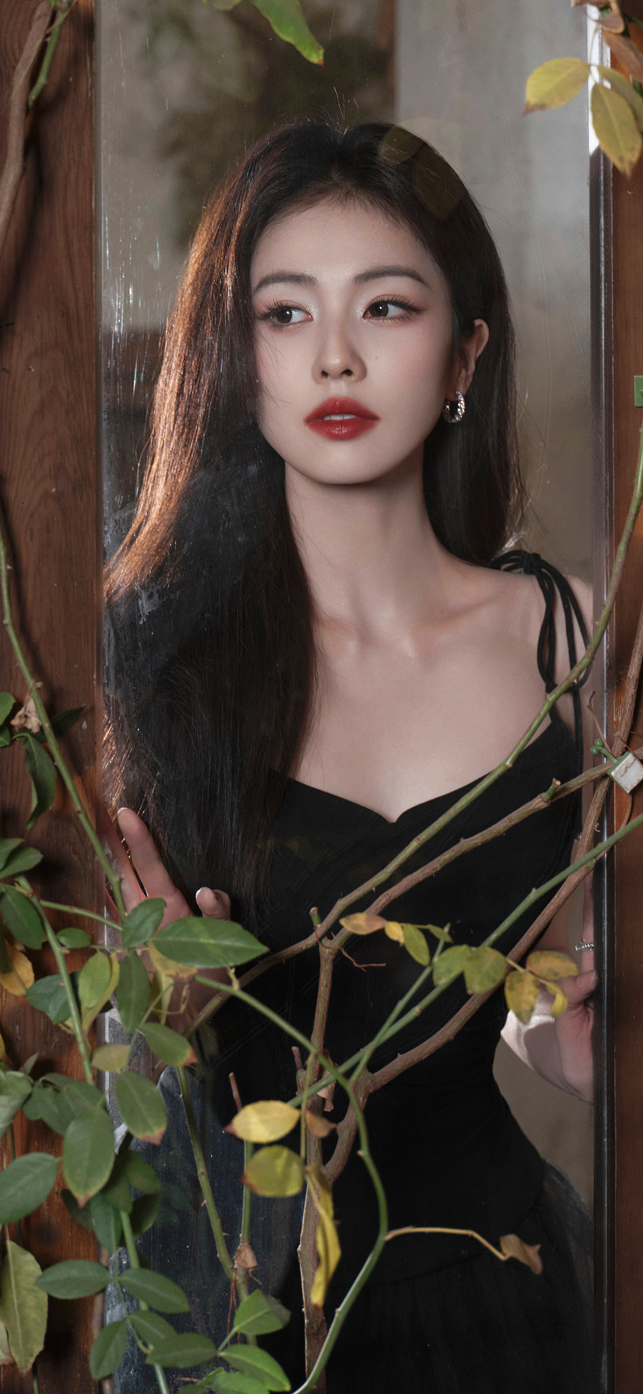 白鹿 完全妈妈 白鹿 