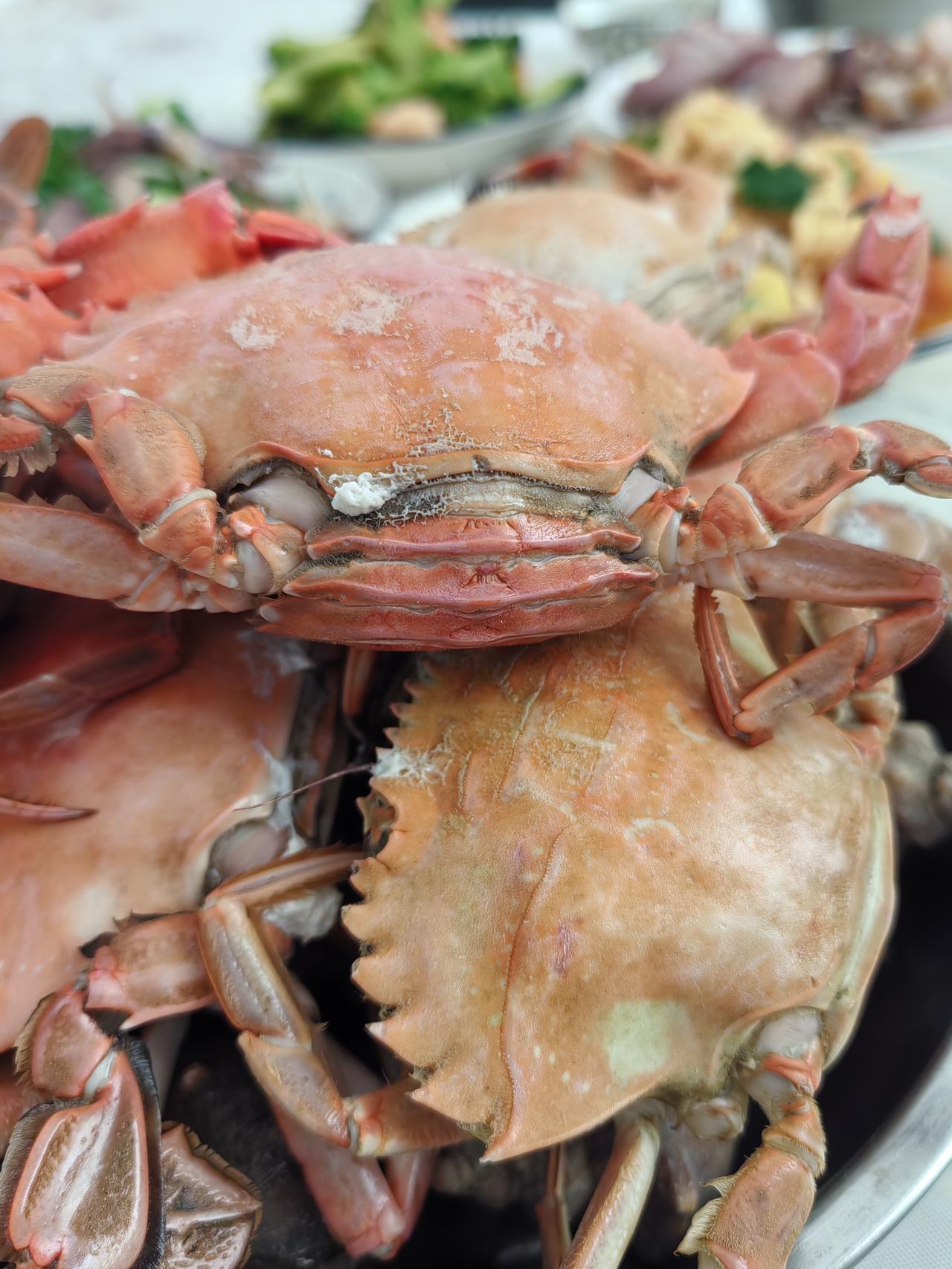 2026年新年开始的第一天，
换了华为的最新款手机，
颜色选的是象征着生命旺盛的