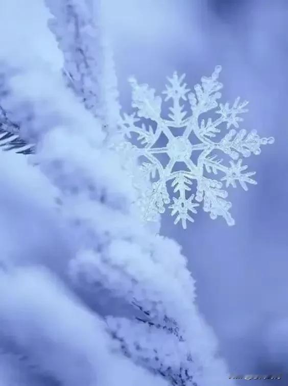 雪花飘落，世界安静。在人间烟火里，晨昏相依，四季更替，我们求的就是一份平安，盼的