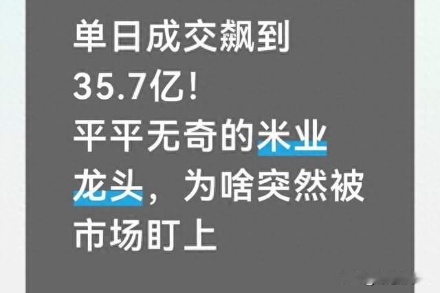 单日成交飙到35.7亿！平平无奇的米业龙头，为啥被市场盯上