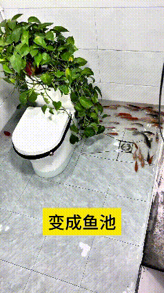 乖乖嘞，俺家多余不用的卫生间，直接被主人改成小鱼池啦！
马桶配上绿油油的绿萝，地