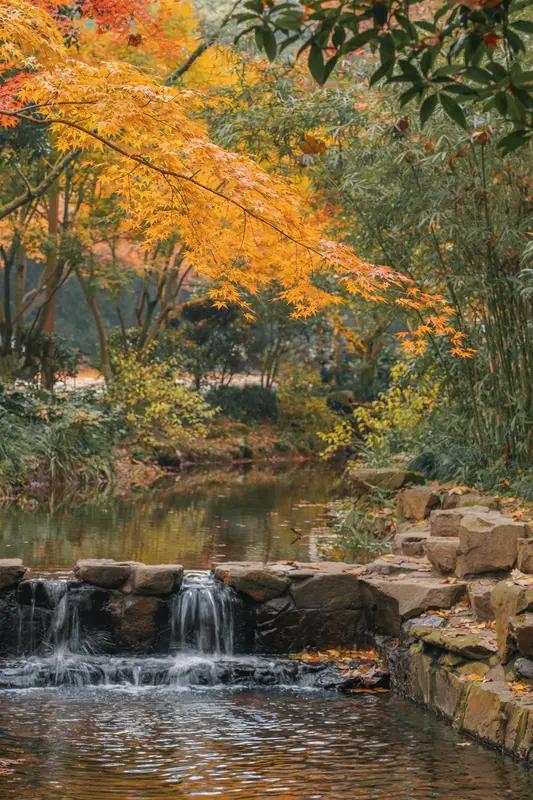 冬天拍照别有一番风味。就像秋日里拍红叶，不一定非得赶在巅峰期。我曾在红叶巅峰期过