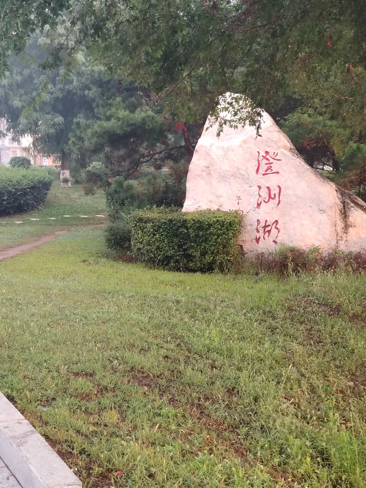 每日一游澄洲湖公园，鲜花绿地湖面相映成趣，挺漂亮啊！