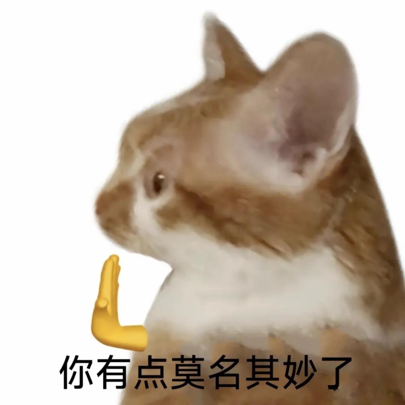 梓渝 摸鱼频道谁认识这个摸鱼频道呀？梓渝怎么一直被这人蹭热度，这年头yxh为了米