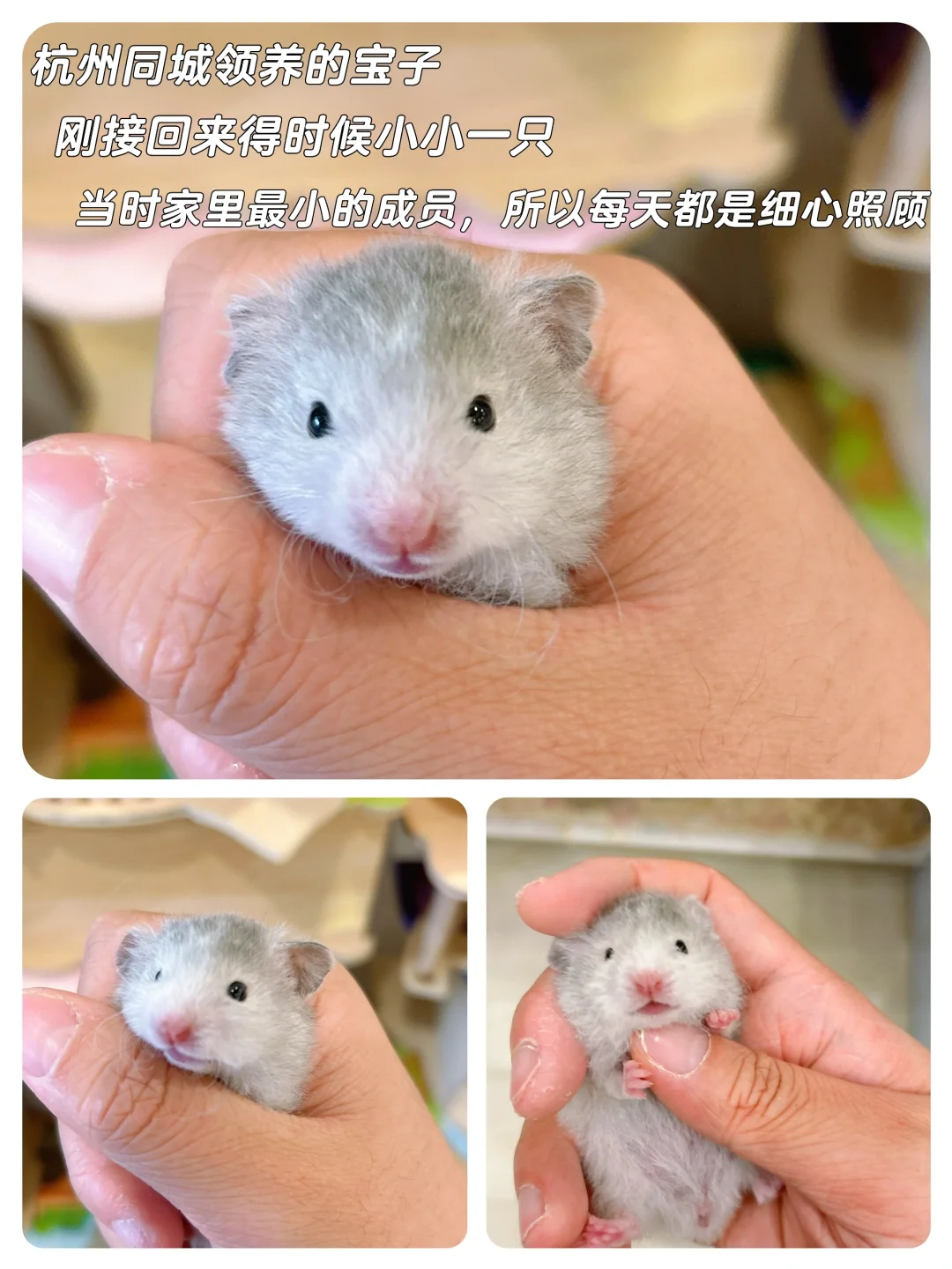 生命中的一束光
