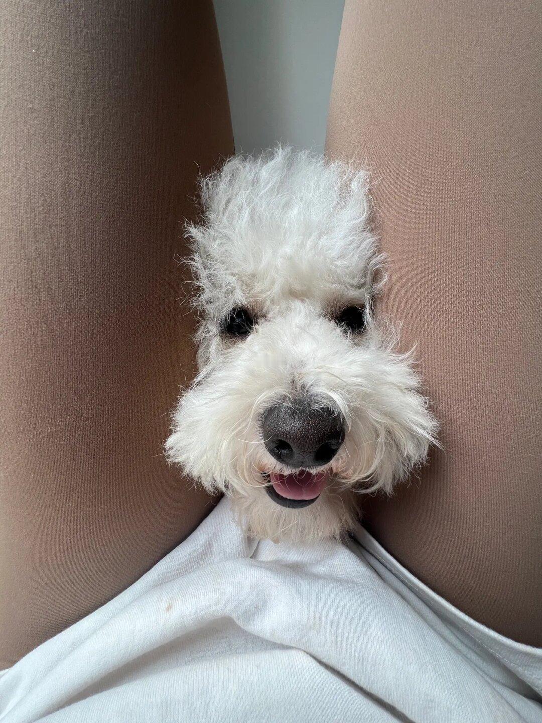 妈妈是我！我是你生的小狗呀！