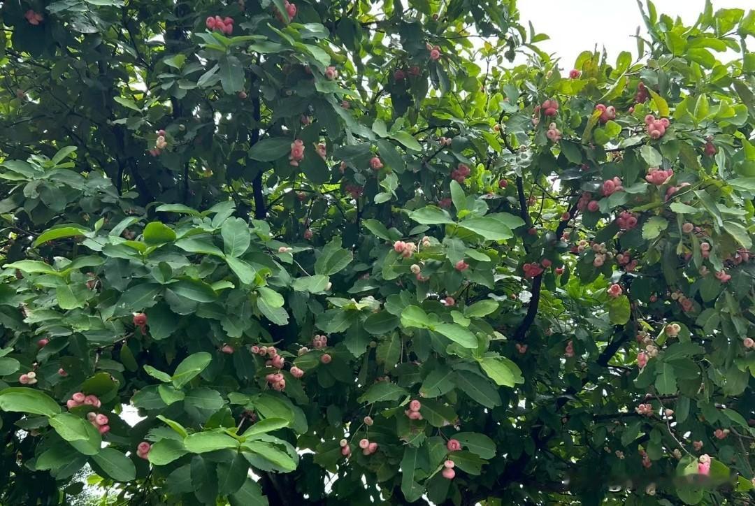 ❤️人要相信，​信自己会更好，​也要相信自己会不好，因为因果不会错，​但是活着，