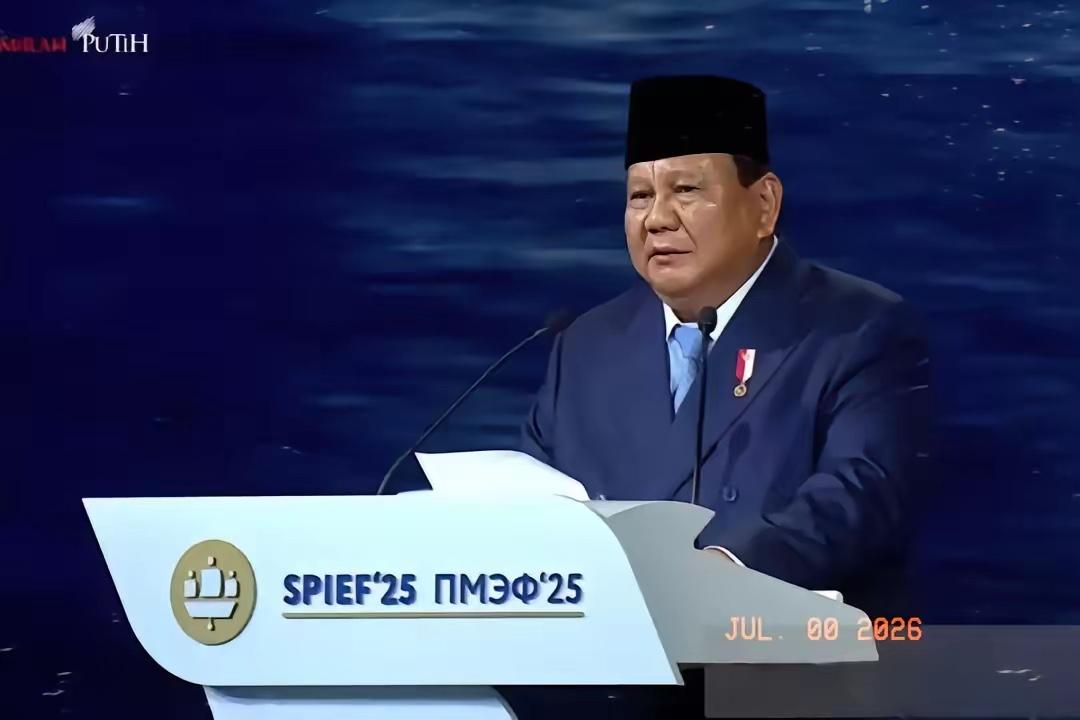 西方资本不傻，只有中国企业太傻。凡是多党轮流执政的国家，其政策都有随时调头的风险