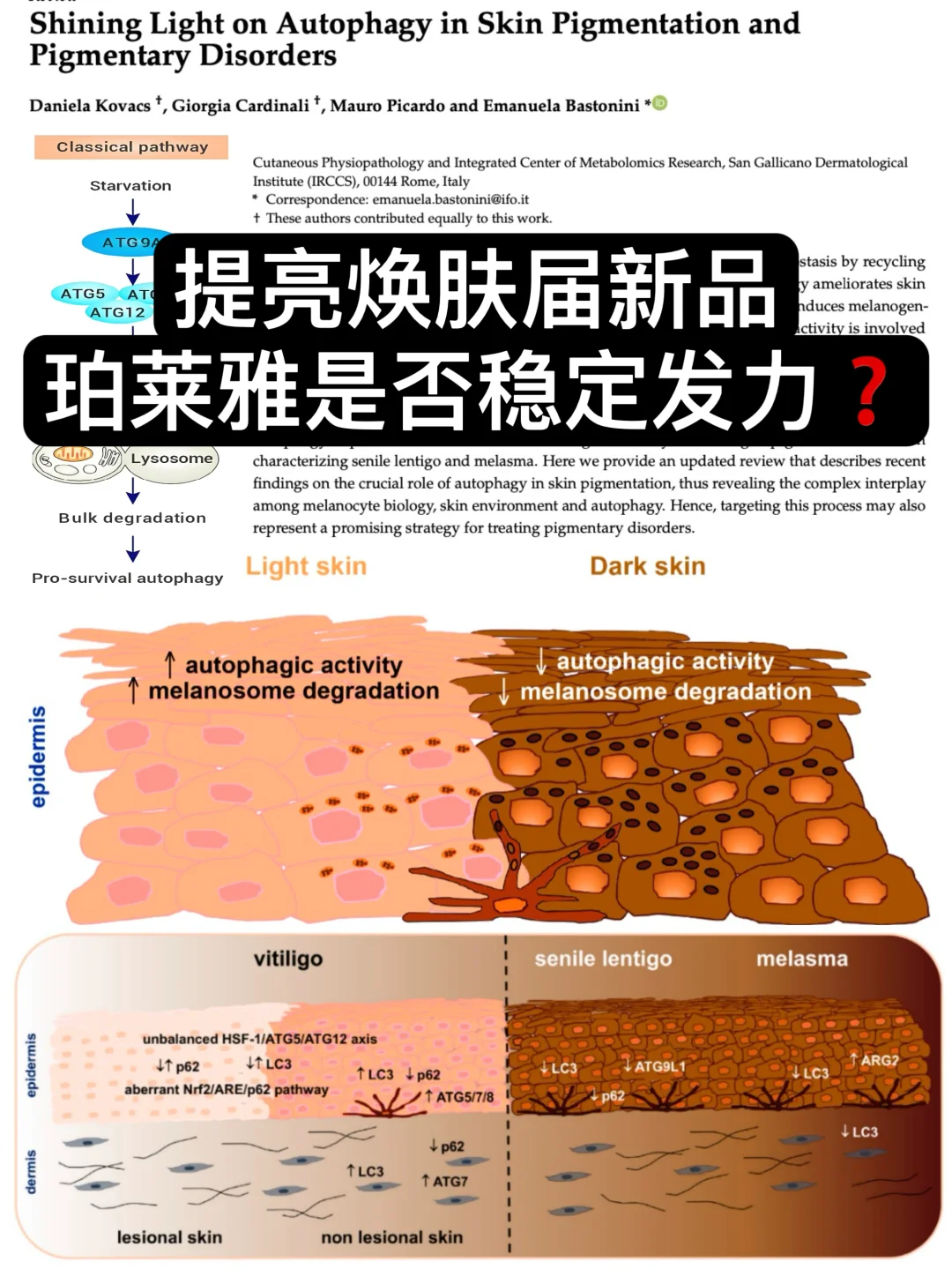 怎么没人说？扒一扒提亮新品！