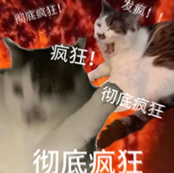 今天我会成为世界上最善良可爱的小女孩儿 