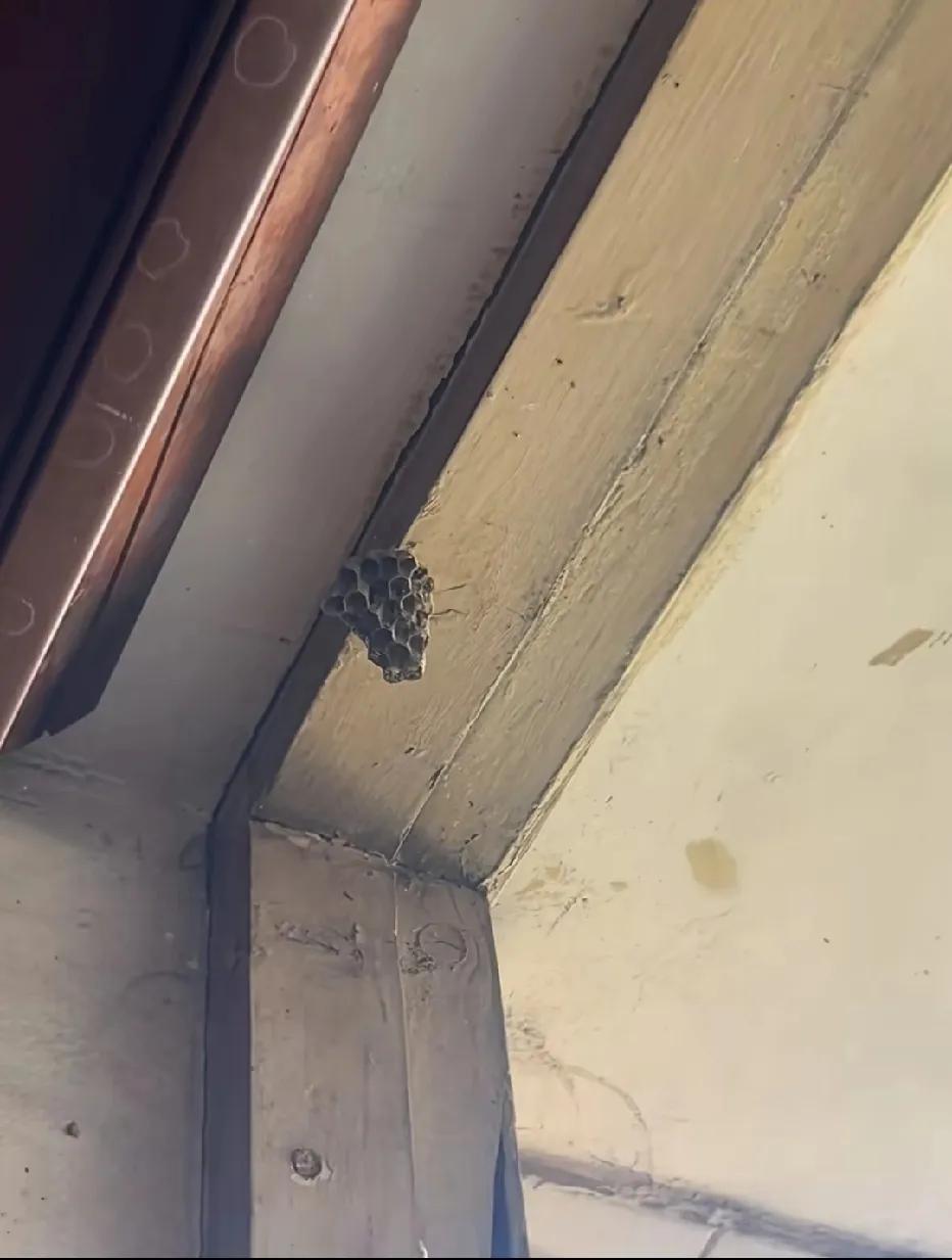 确实有点大材小用了。[大笑]一只手指打掉那一刻，忍不住笑了。