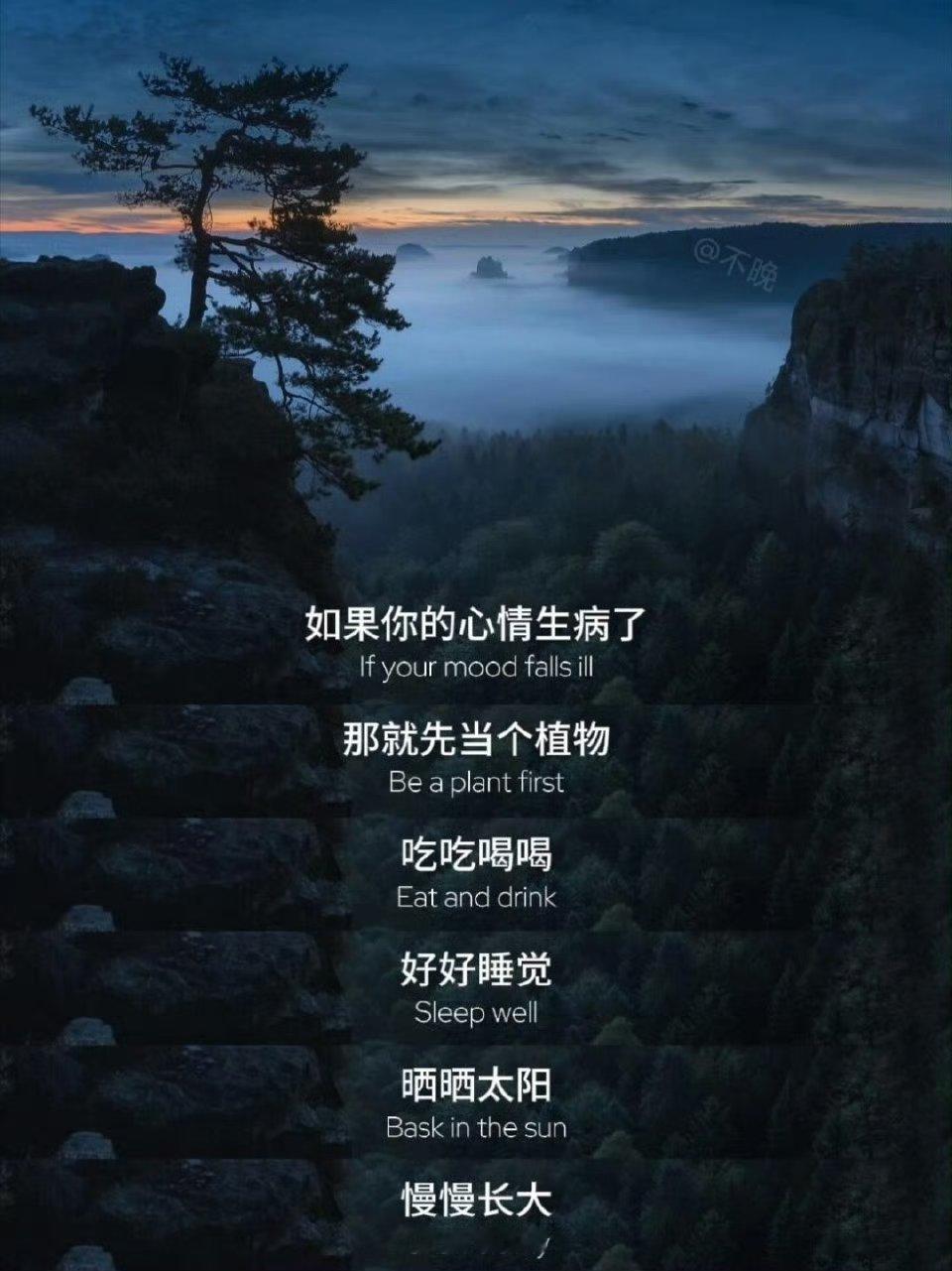 这段话真的太治心情了: ​​​