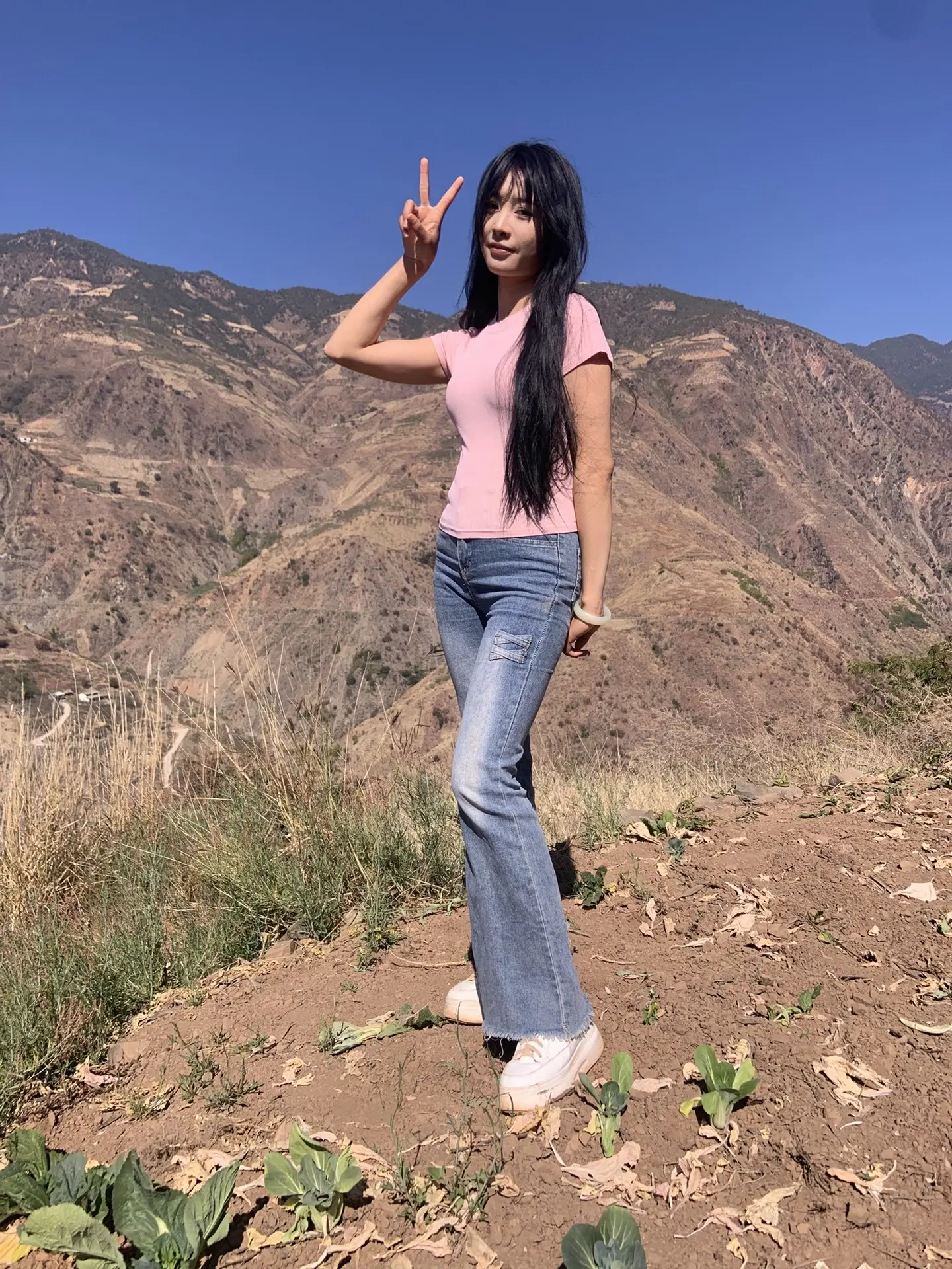 带刺的玫瑰请求添加为你好友