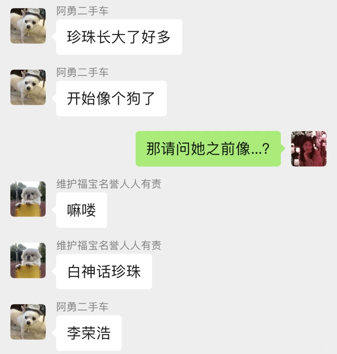 你有黑神话悟空 我有白神话珍珠