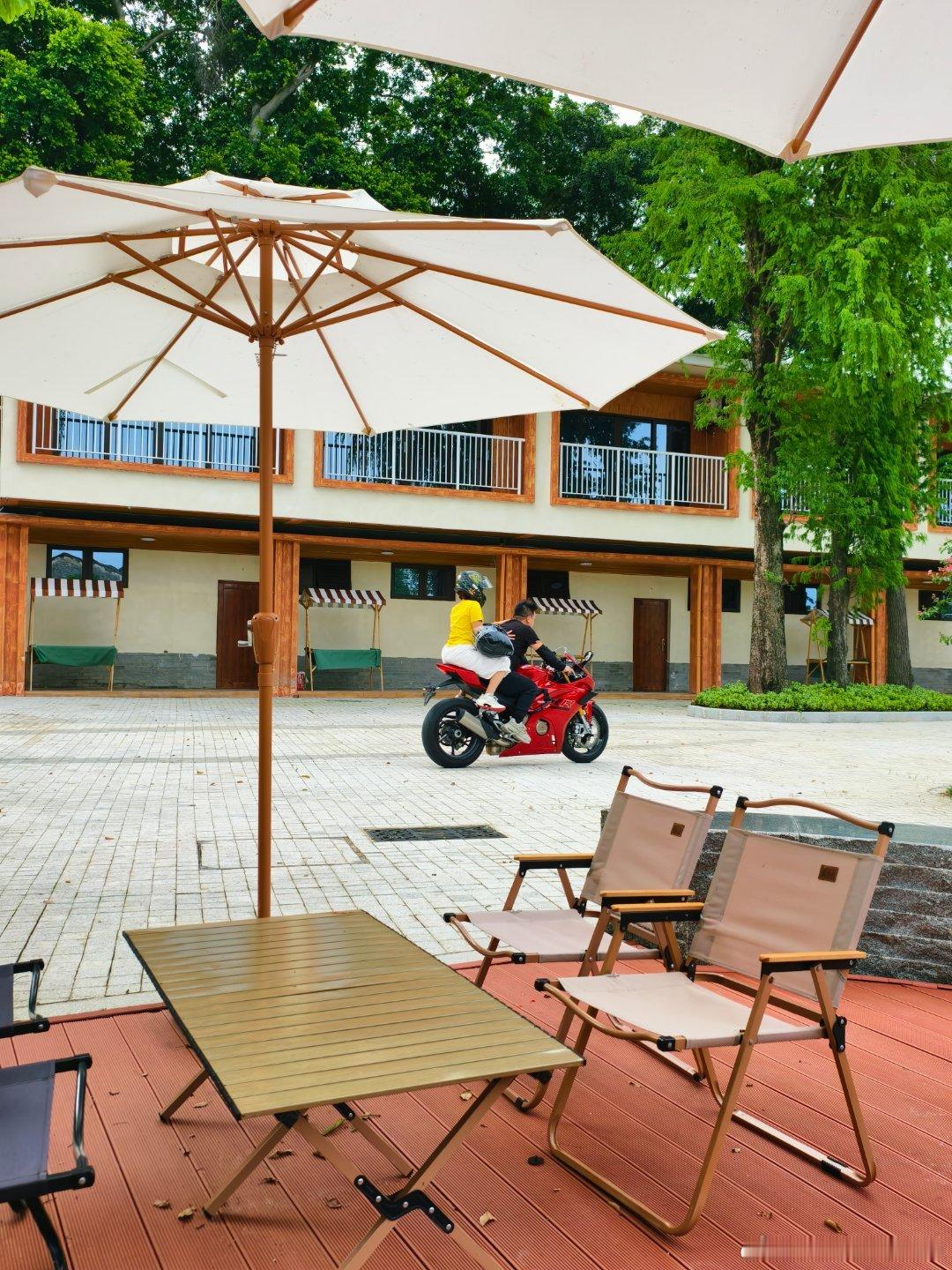 珠三角发展纵横观察录 号称五邑最美古木棉的红卫宝岛（江心孤岛🌊）的百年木棉树，
