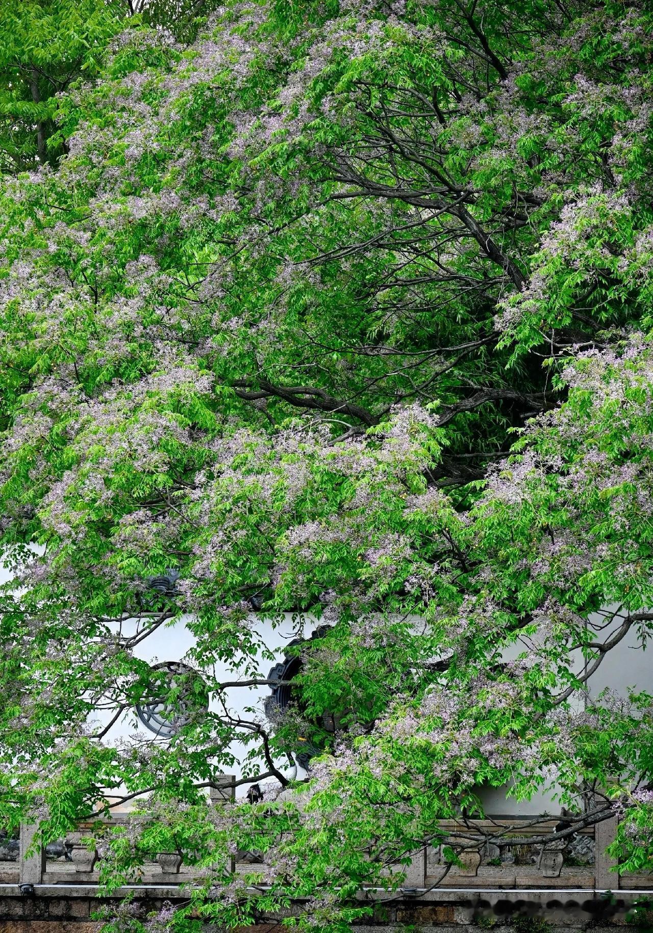 下联：醉卧芳丛日已斜
上联：有请雅士[玫瑰][玫瑰][玫瑰]