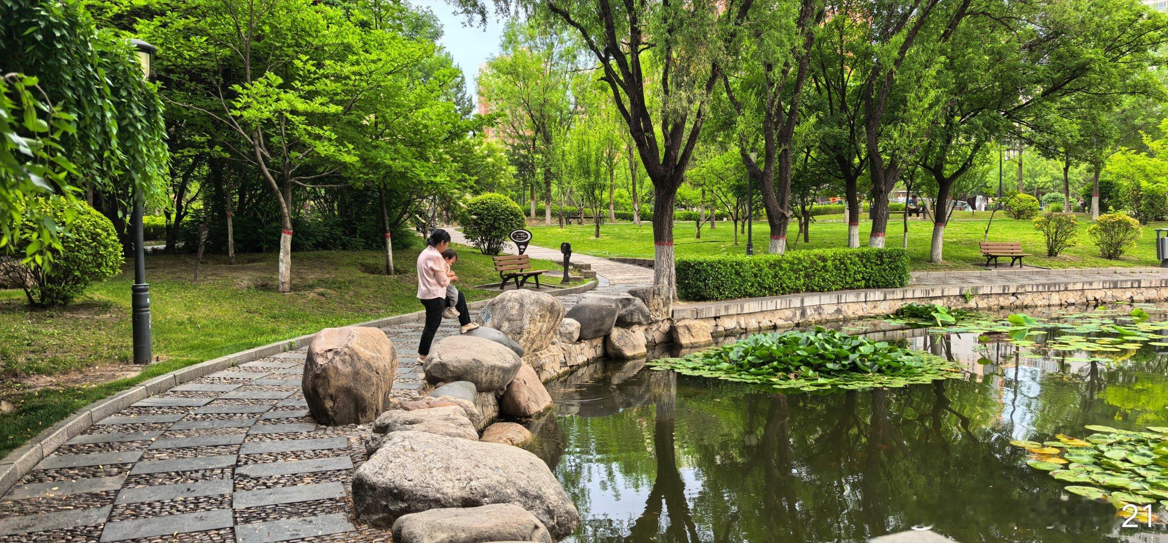 今日雨后  太原玉门河公园